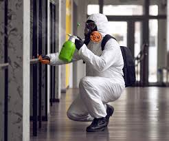 Why You Should Choose Our Mold Remediation Services in Heppner, OR